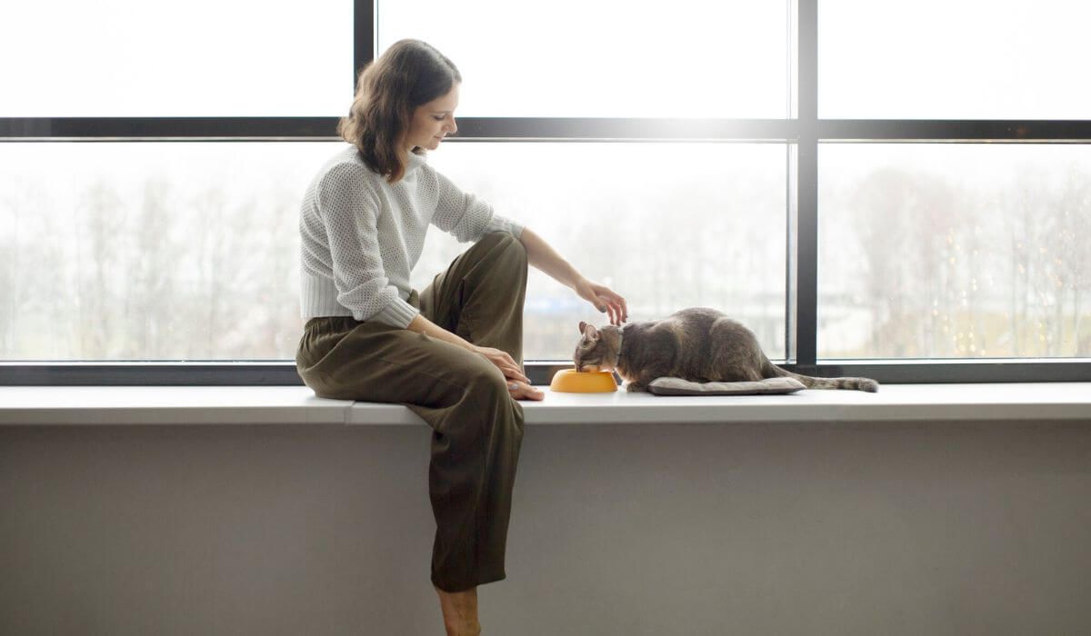 pet cleaning