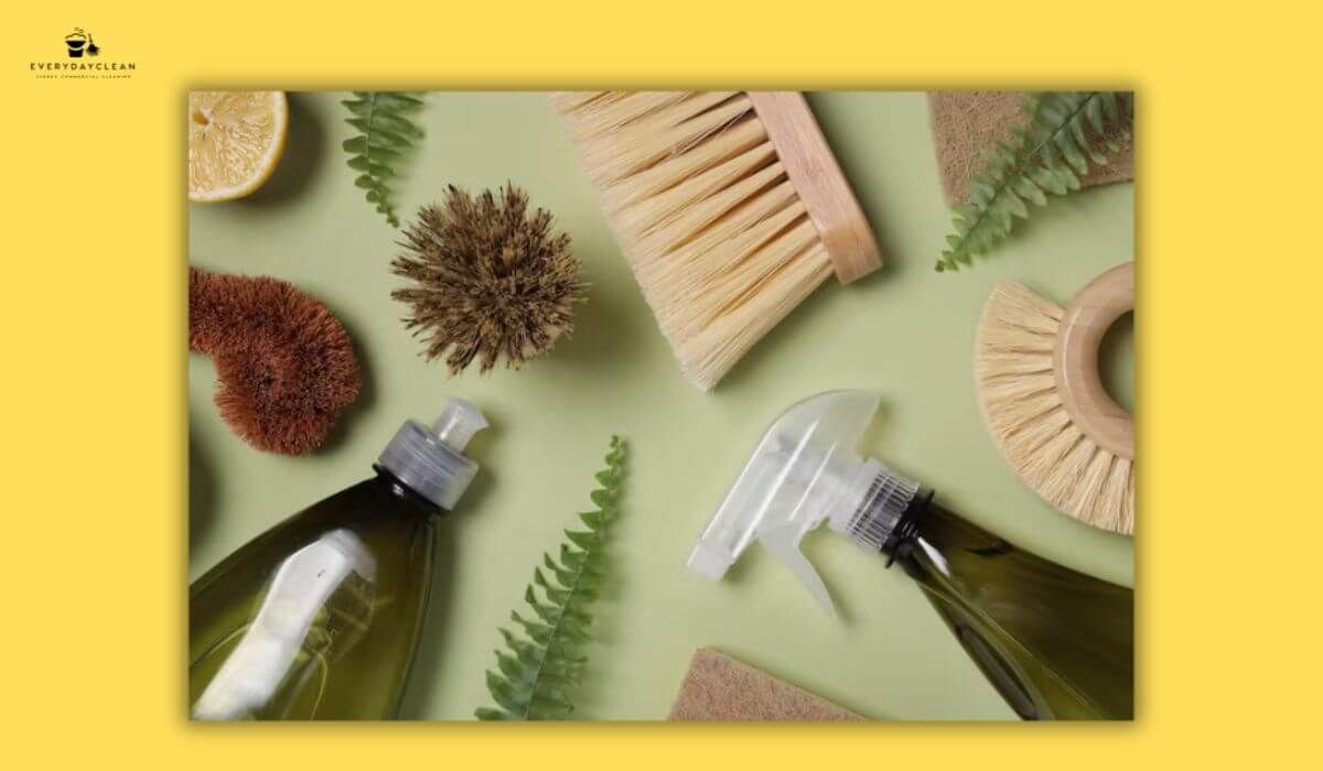 biodegradable cleaning products
