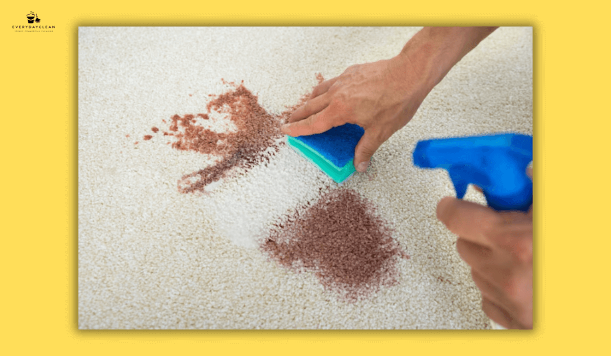 blotting stains on couch