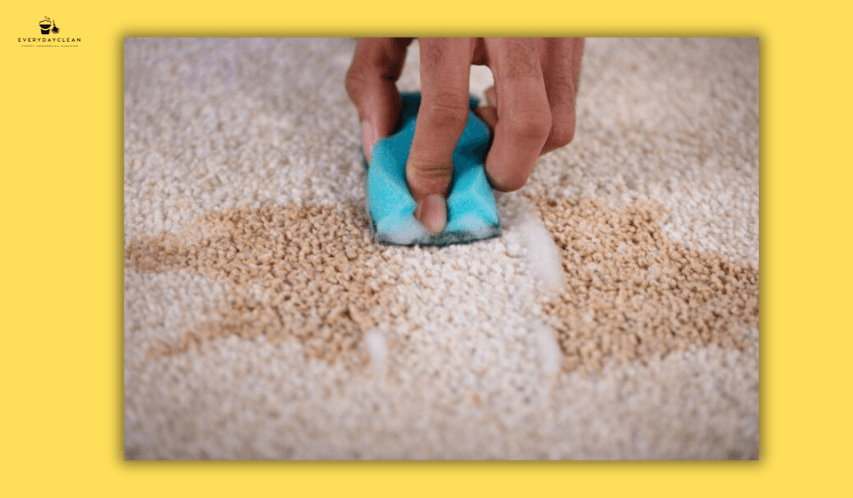 carpet cleaning products matched to different stain types like wine coffee and oil