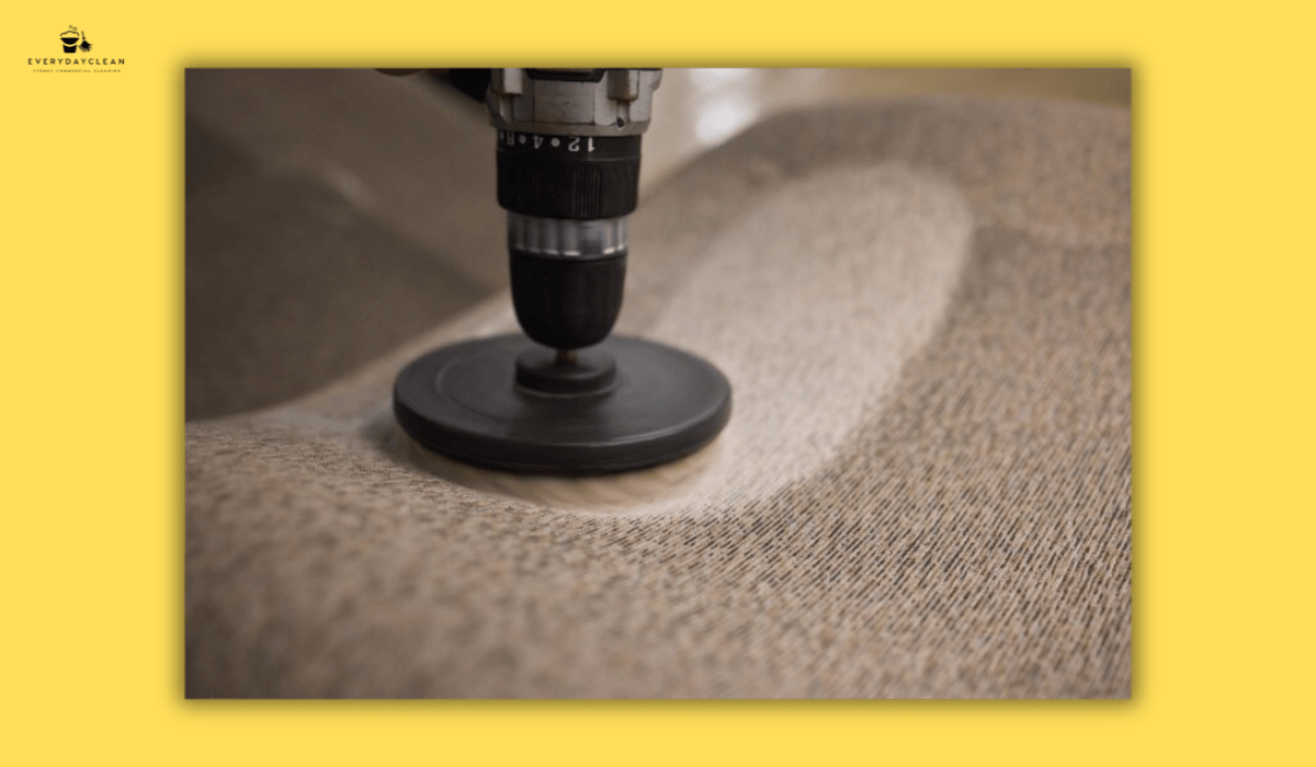 carpet steam cleaning office