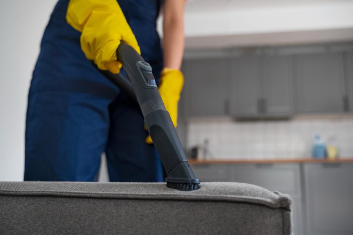 Choose Everyday Clean for Your Autumn Carpet