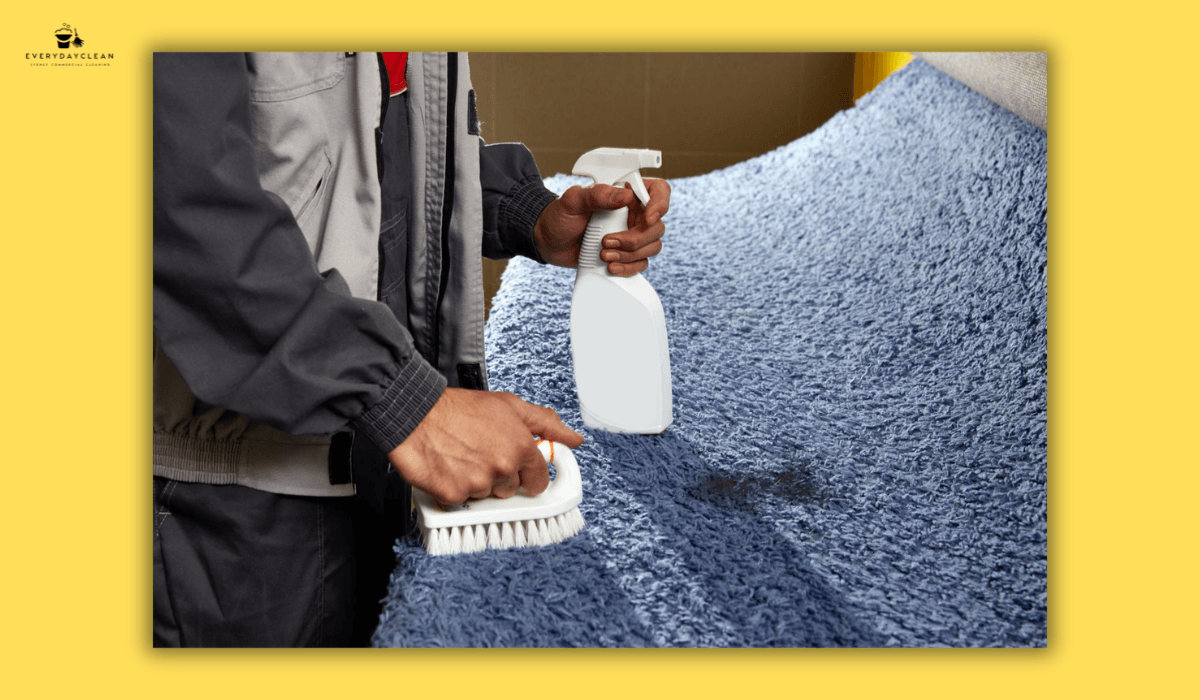 enzyme carpet cleaning products removing pet urine and organic stains
