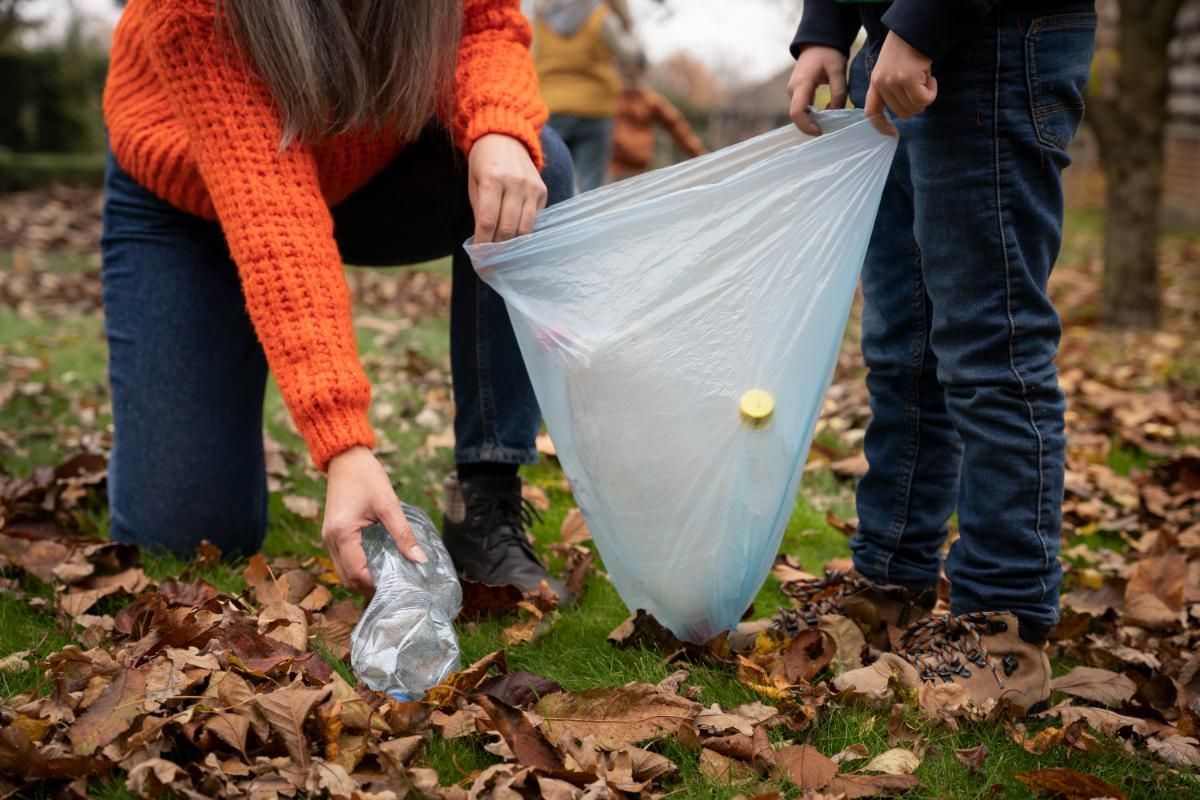 How to Dispose of Leaves Properly