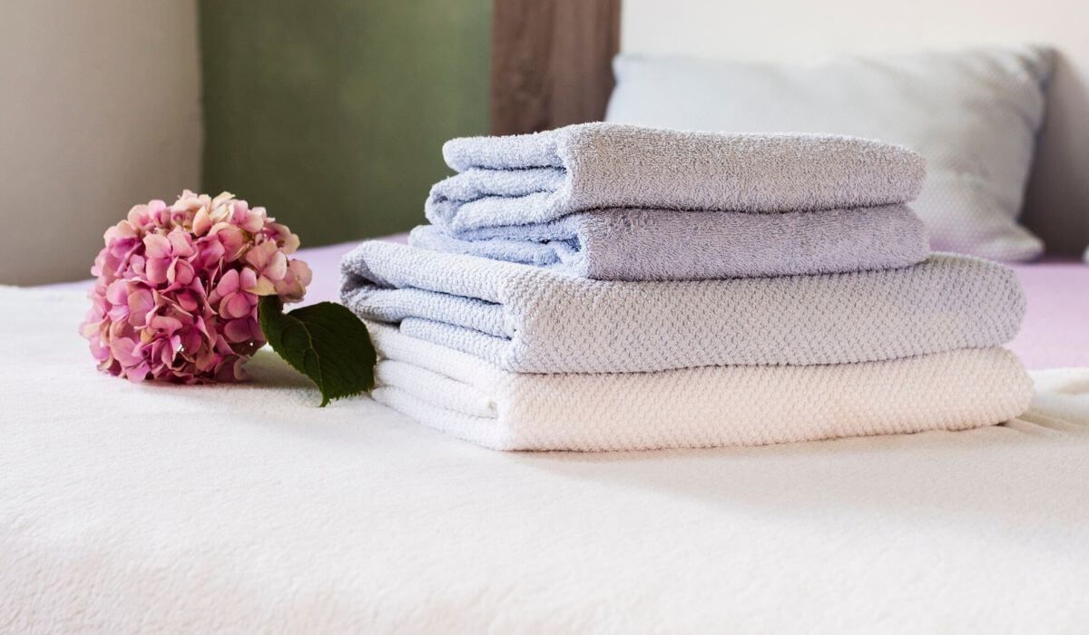 laundry day cleaning schedule