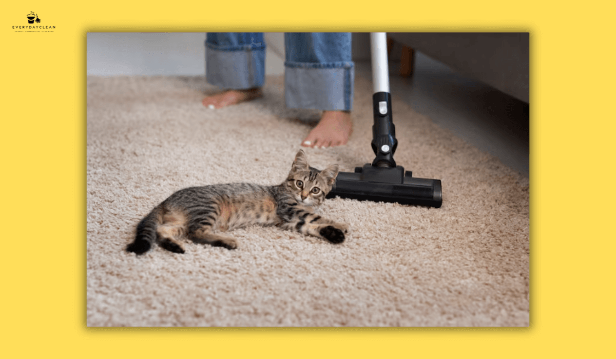 removing pet hair from carpet