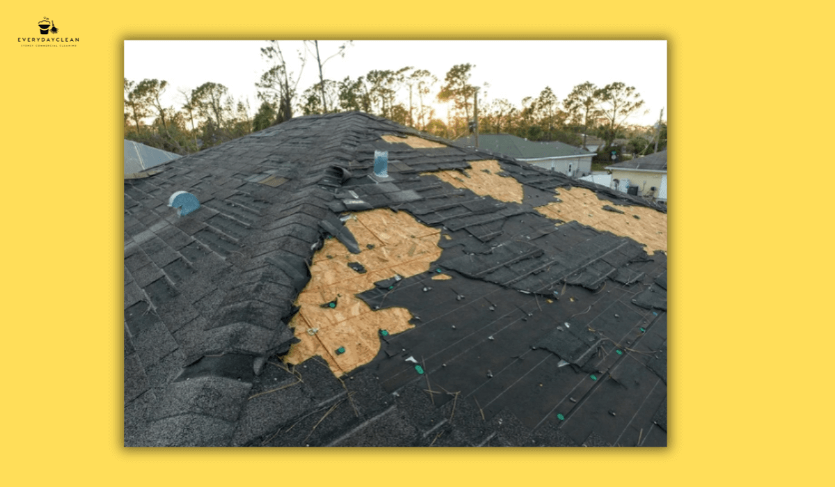 Expert examining cracked and weathered roof tiles on an old building during assessment.