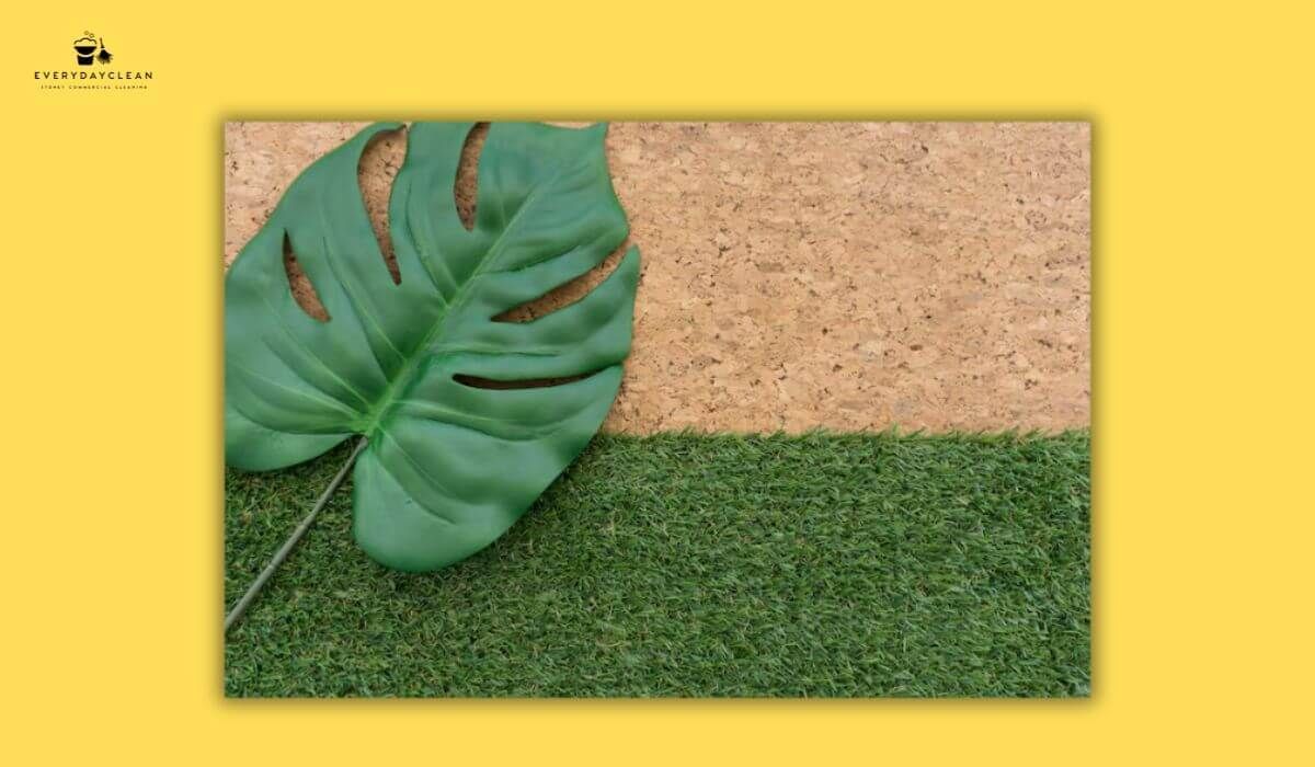 Eco-Friendly Carpet Cleaners: Safe, Powerful Results