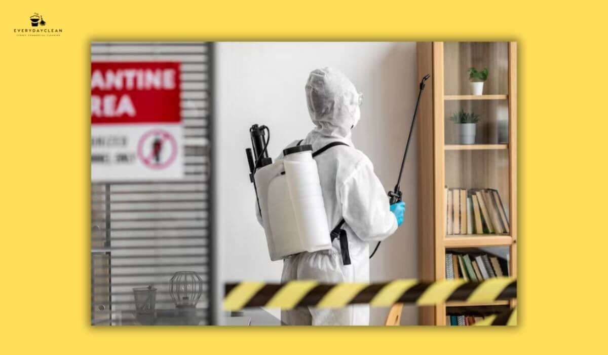 How Much Does It Cost for Pest Control? Breakdown & Rates