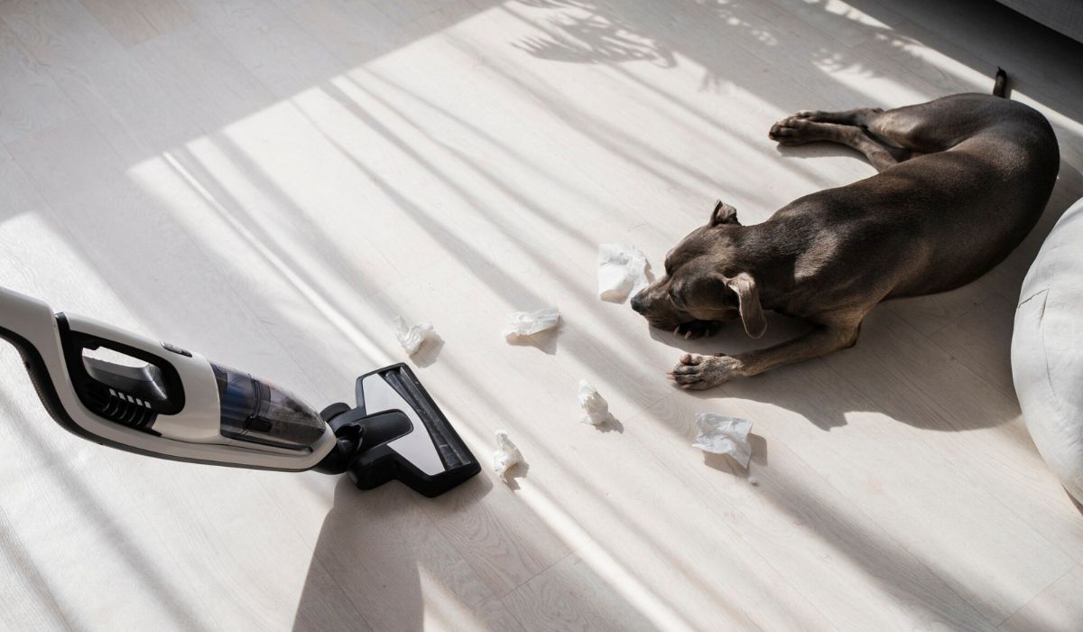 toxic cleaning products for pets