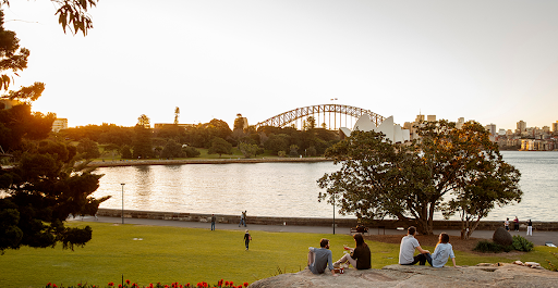 Explore the Natural Beauty of the Royal Botanic Garden
