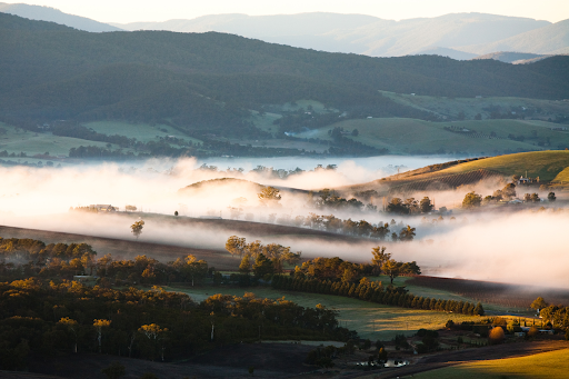 Yarra Valley Day Trip: Perfect Wine Getaway from Melbourne