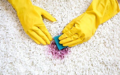 Step-by-Step Gym Floor Cleaning Guide (Sydney Edition)
