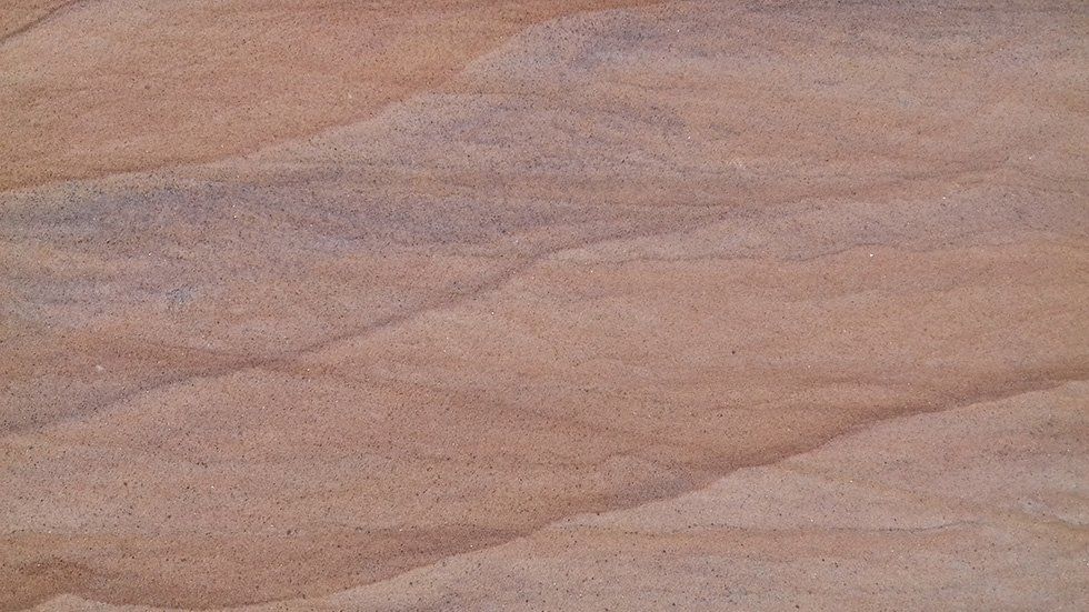 Rainbow arenaria indiana