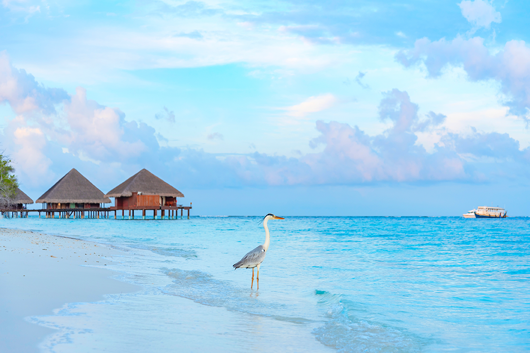 Maldives Booking Mistakes: 12 Costly Errors to Avoid Before You Pay