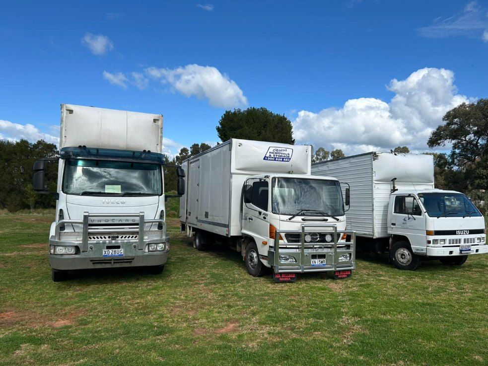 Three Moving Trucks Are Parked in a Grassy Field — Buck Removals & Storage in Cowra, NSW