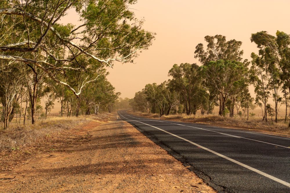 A Road Going Through a Desert With Trees on Both Sides — Buck Removals & Storage in Wagga Wagga, NSW