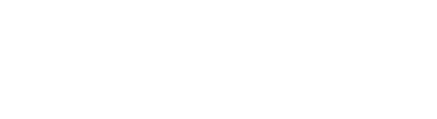 BSR-OFFICIAL-LOGO