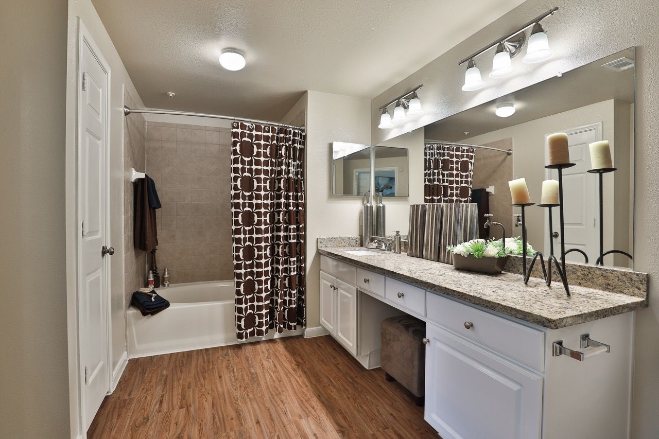 Bathroom in an apartment unit with a granite countertop, long vanity, large mirror, and a patterned shower curtain.
