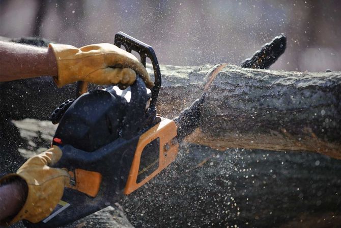 A person is using a chainsaw to cut a log.