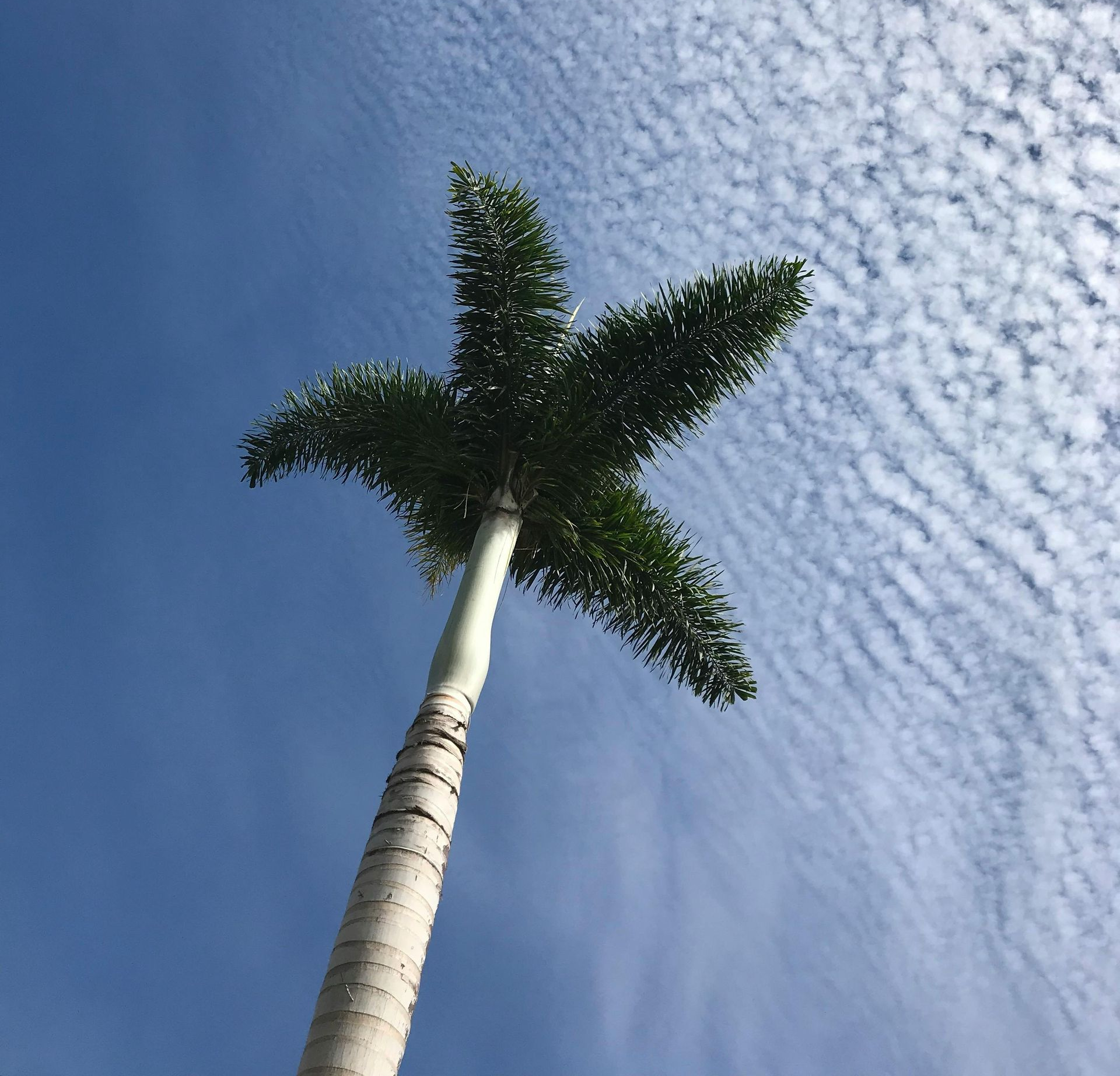 A man and a woman are shaking hands in an office.