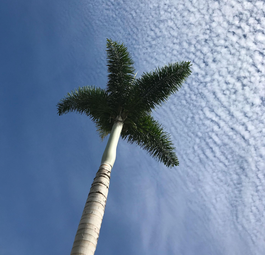 A man and a woman are shaking hands in an office.