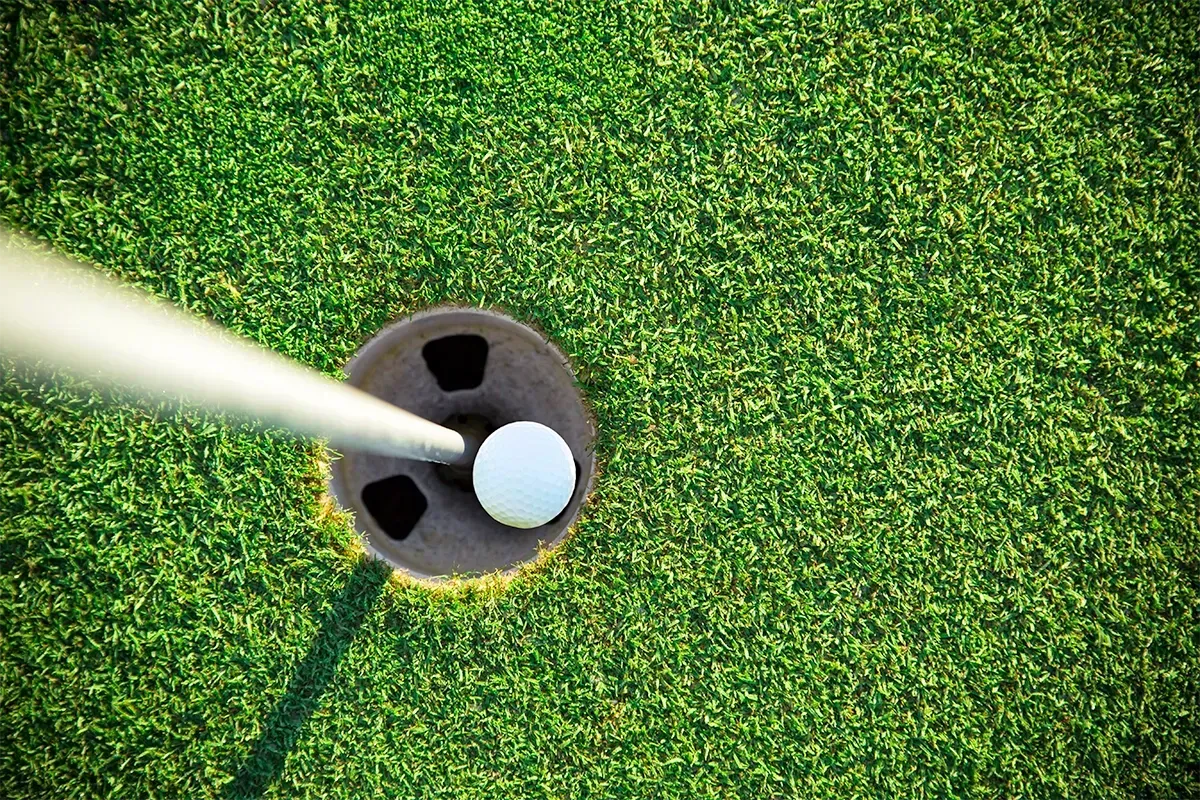 Golf ball in hole