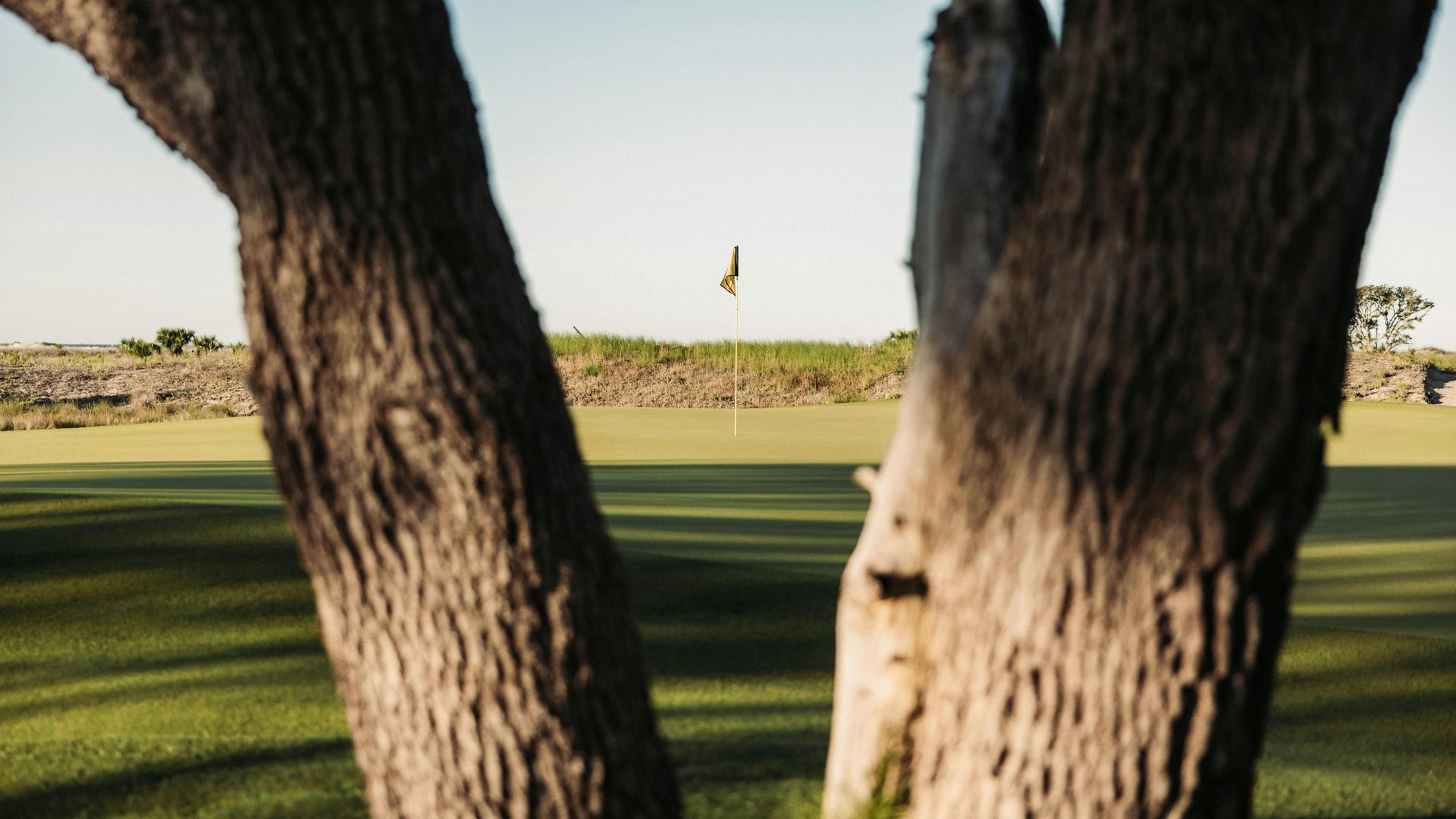 A view of a golf putting green with a flagstick in the distance, framed between two large tree trunks.