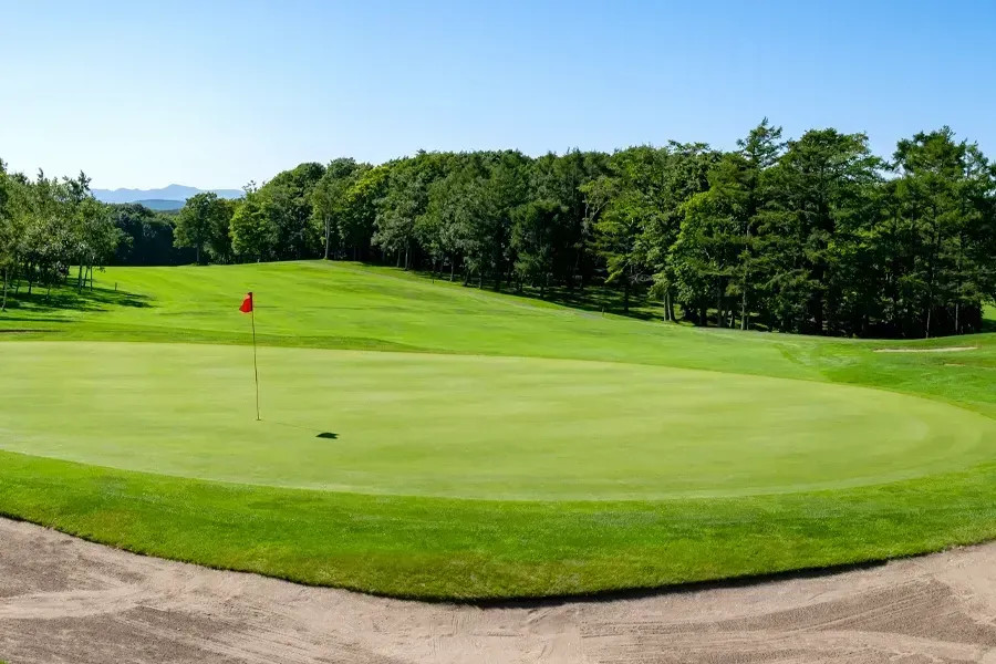 Pristine green