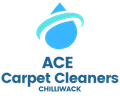 Ace carpet cleaners chilliwack logo