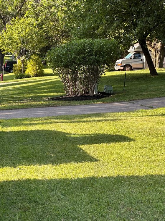 Lush green lawn with a manicured bush, a camper van, and trees, under a bright sky.