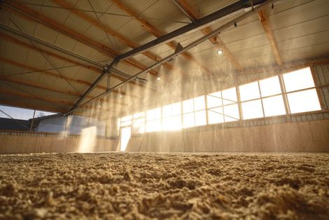 A brown horse is walking in a dirt field.