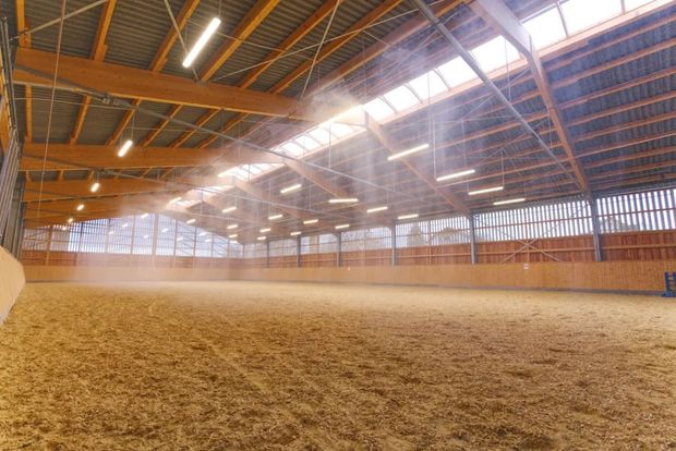 A brown horse is walking across a dirt field.