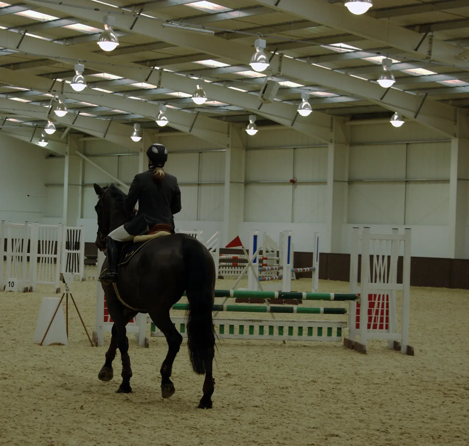 A person riding a black horse in a indoor arena