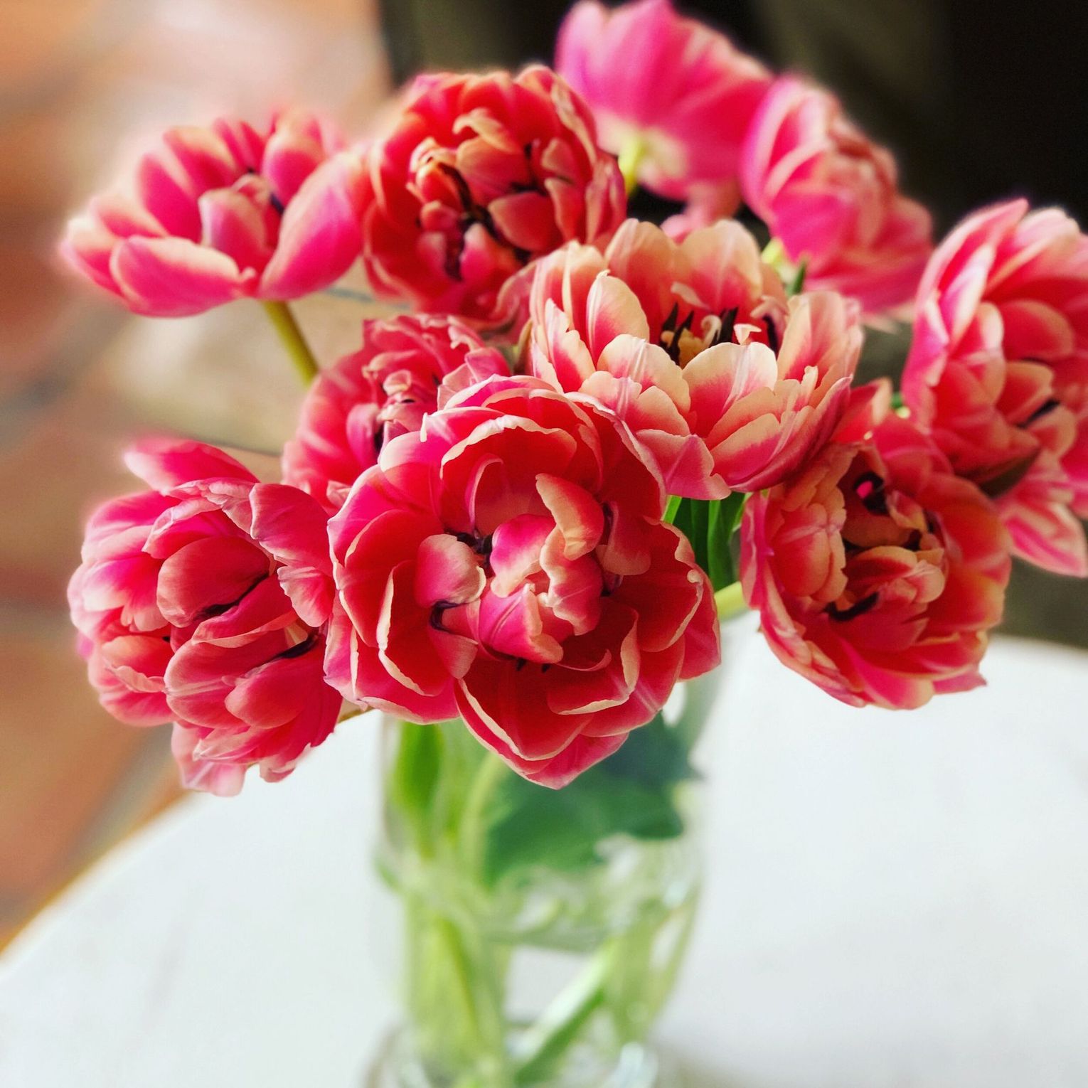 deep red florals
