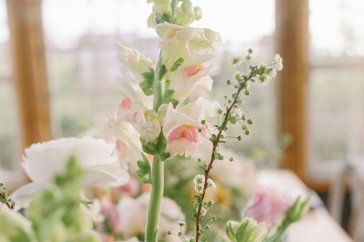 Floral arrangements