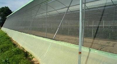 BIOMALLAS Y ESTRUCTURAS SA DE CV