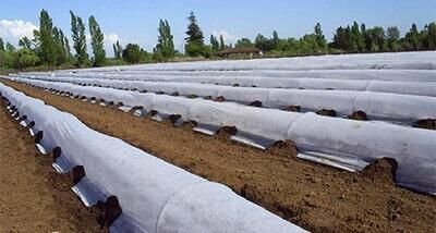 BIOMALLAS Y ESTRUCTURAS SA DE CV