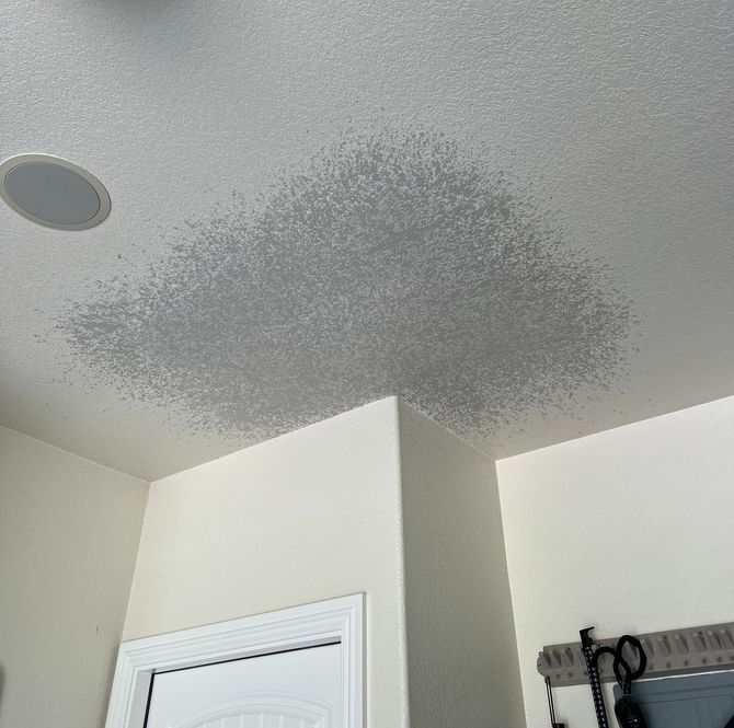 a person is sanding a drywall patch with a sanding sponge