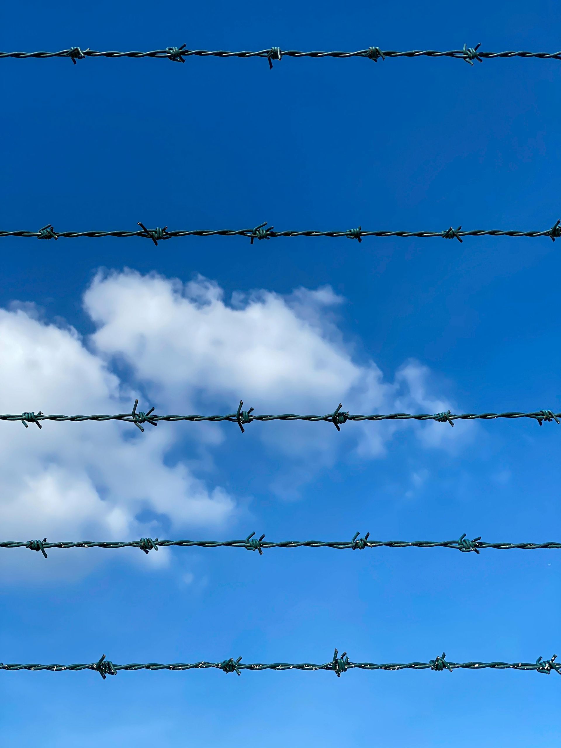 Sky with clouds and barbed wire in the foreground