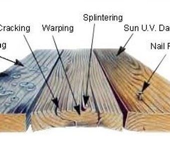 A diagram of the different types of wood damage.