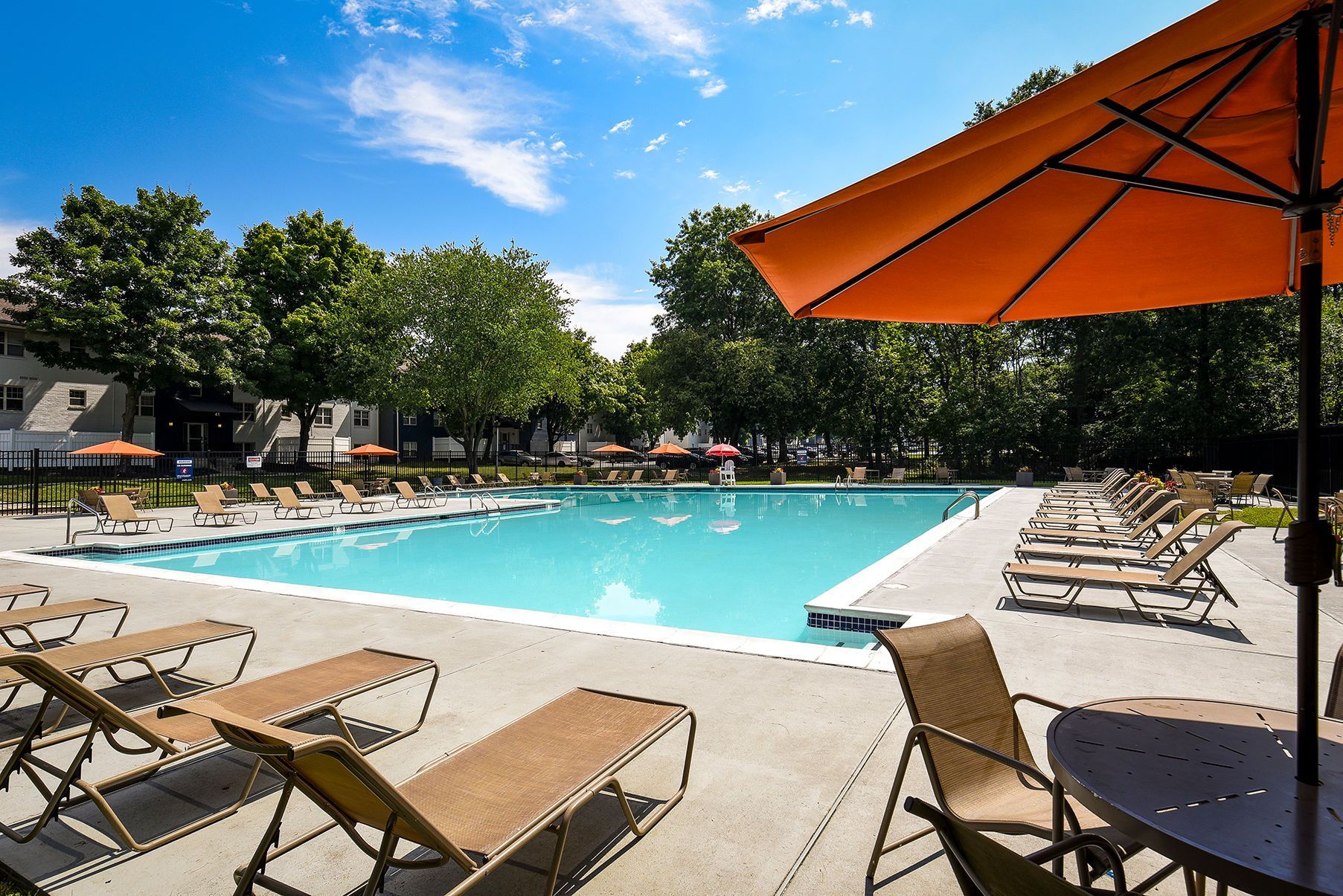 Outdoor apartment pool with lounge chairs, umbrellas, and surrounding trees on a sunny day