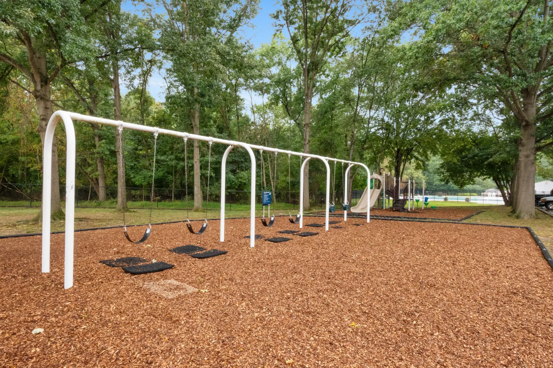 Playground with swings and a slide under tall trees.