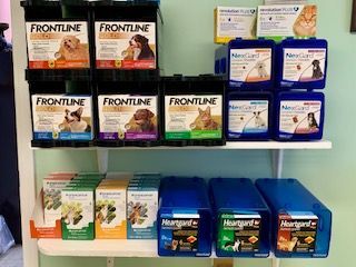 flea and tick medicine