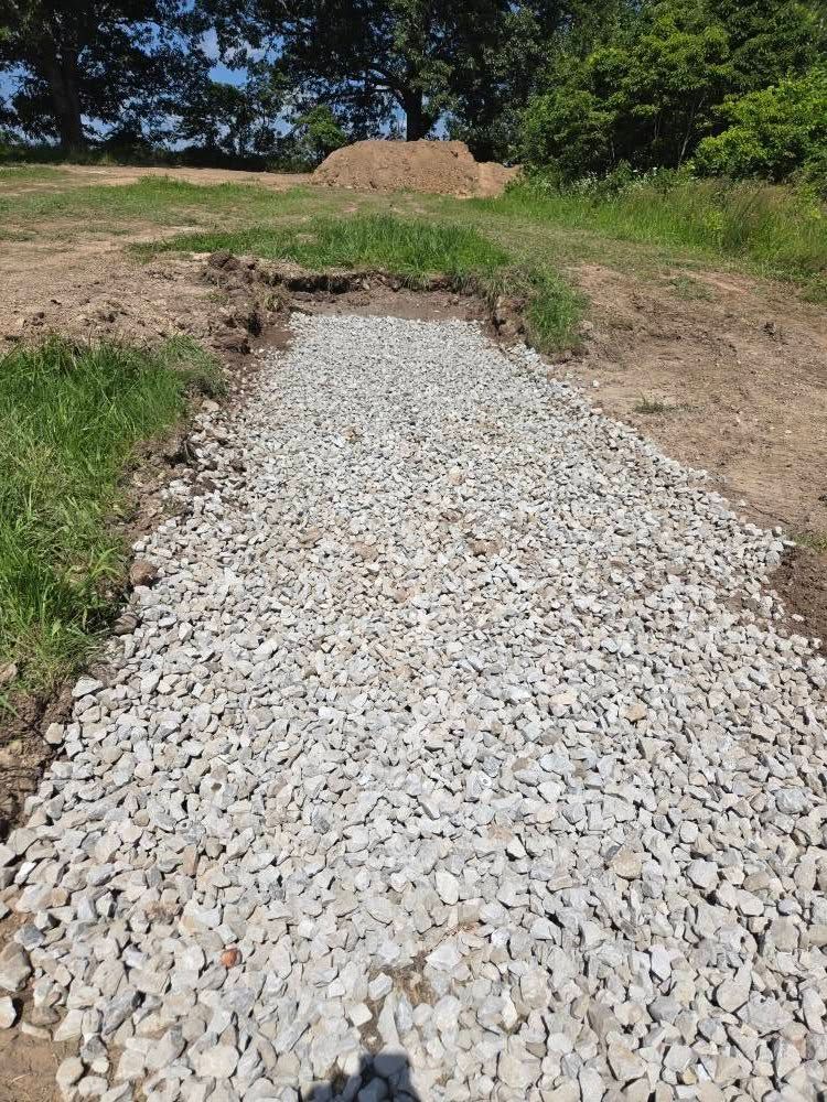 Gravel path through dirt and grass, leading to a mound of dirt, under a tree.