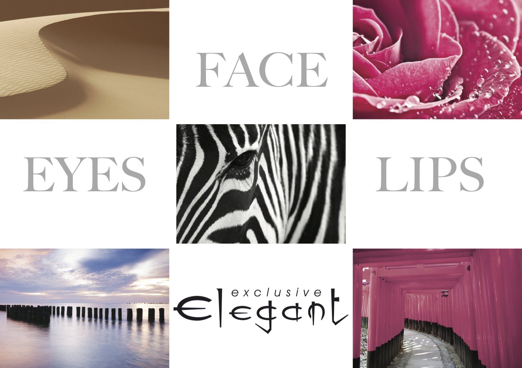 Exclusive Elegant
