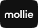 Het woord mollie is in het wit op een zwarte achtergrond geschreven.