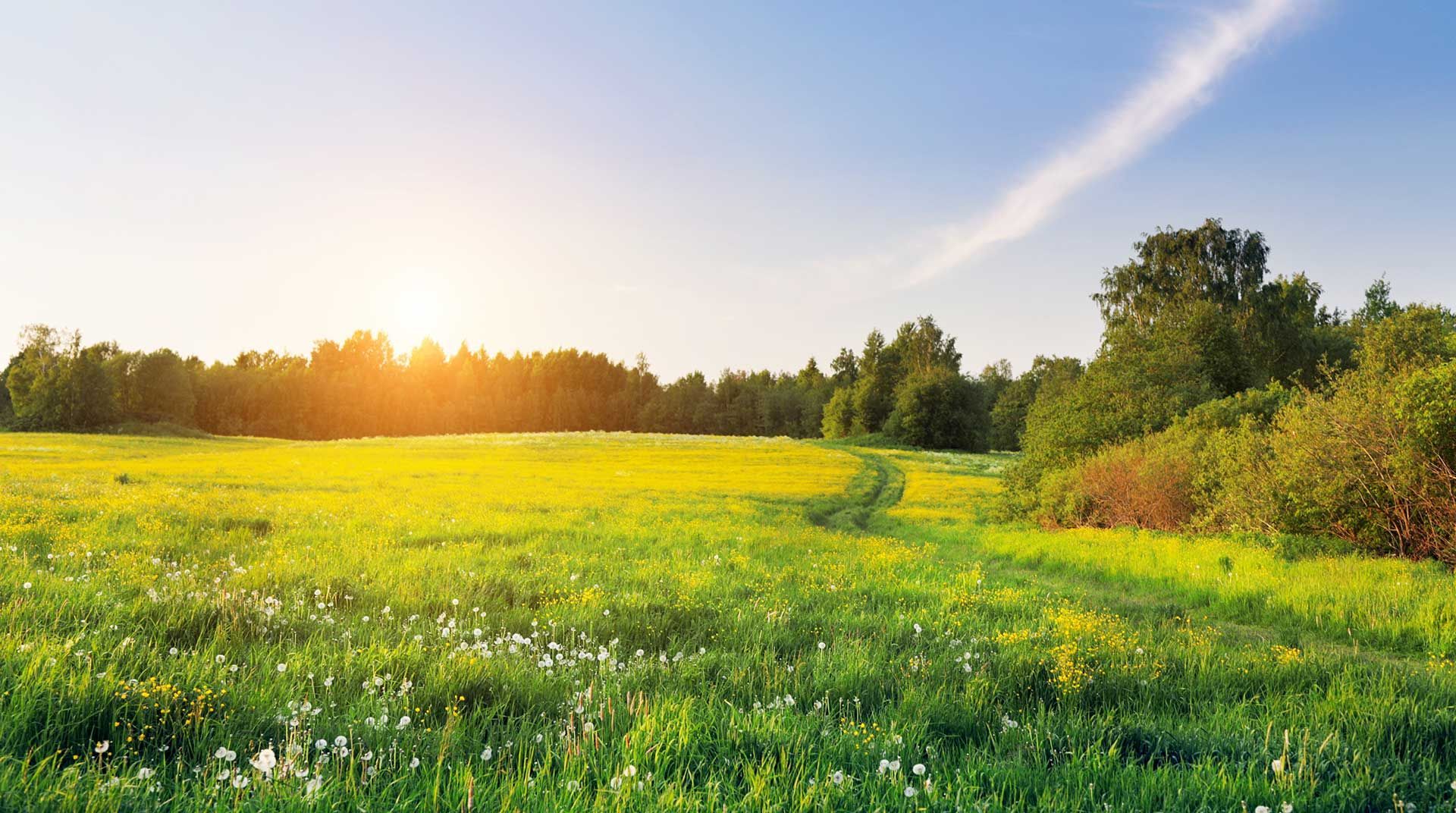 LAND ADMINISTRATION SERVICES