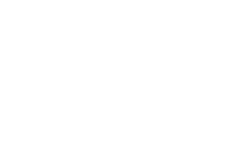 Wise Field Solutions logo
