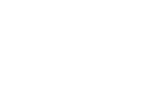 Wise Field Solutions logo